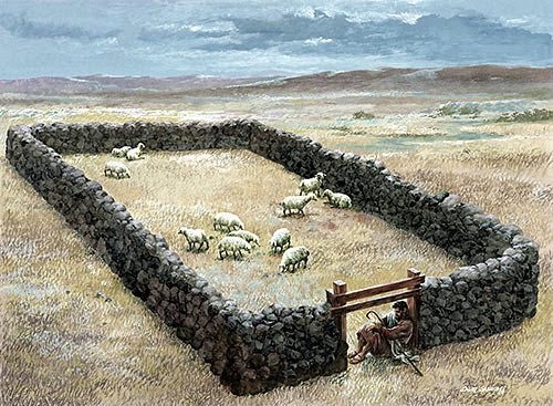 Kết quả hình ảnh cho Cửa chuồng chiên
