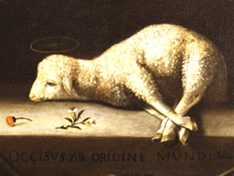 lamb_of_god Hình ảnh có liên quan