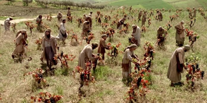 2014-01-028-laborers-in-the-vineyard-1920x960-1