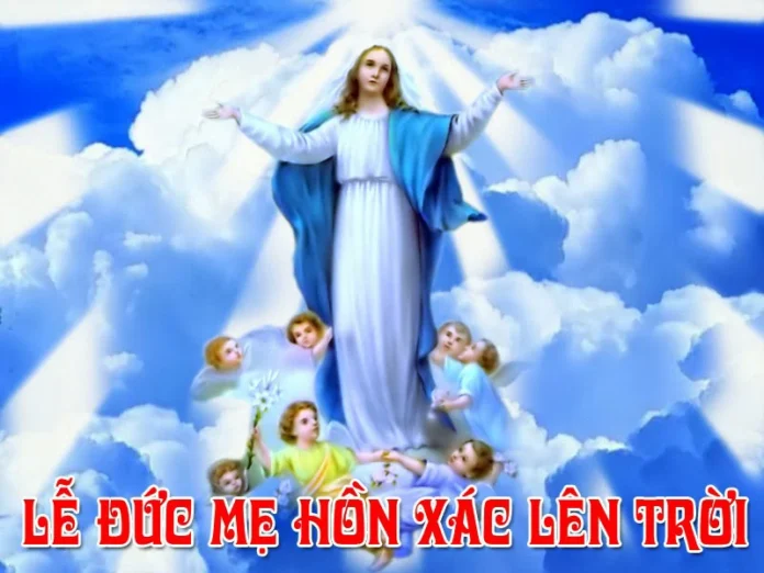 20260518071653l7jn9AAjlv20250811085642JSOHdMFt3w20250719095734B6mTDsjKRole-duc-me-hon-xac-len-troi-8