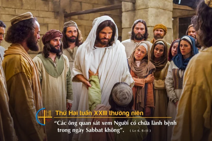 thu-hai-sau-cn-23-tn-a-13-10-2023