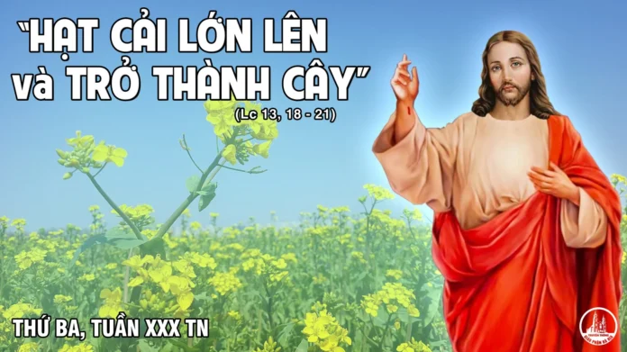 CN-XXX-TN-T3